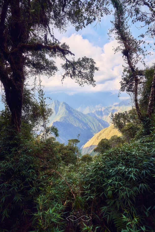 Through the Trees - Andes Mountains Peru  IGThruMyEyesPhoto