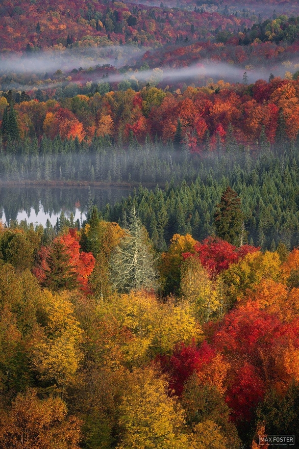 Throwback to this past fall in Minnesota Best colors I have seen in years  maxfosterphotography