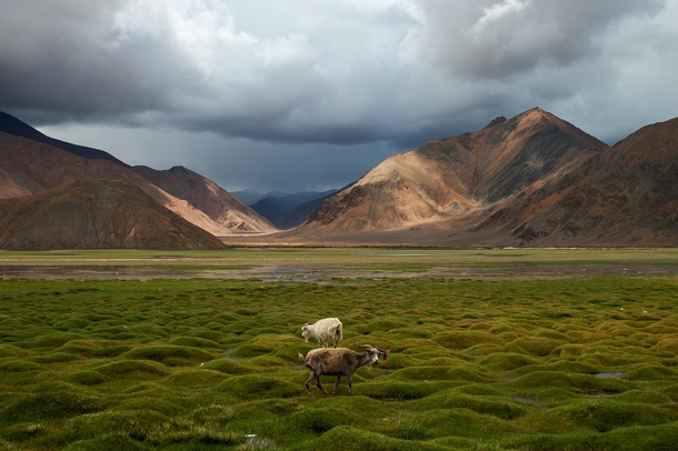 Tibet Landscape China  by rufeng