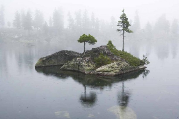 Tiny isolated island in the middle of Artists Lake Ergaki Russia 