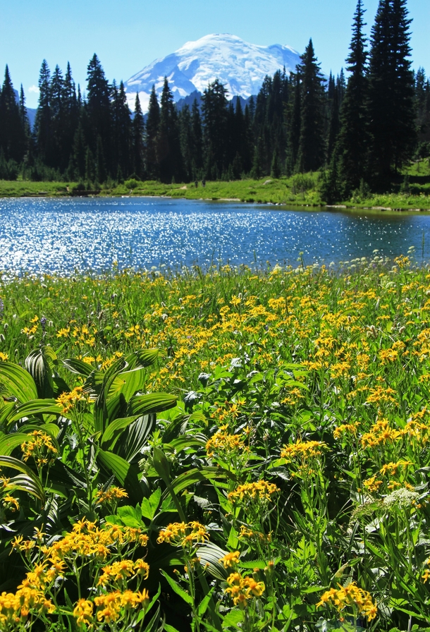 Tipsoo Lake Washington State 