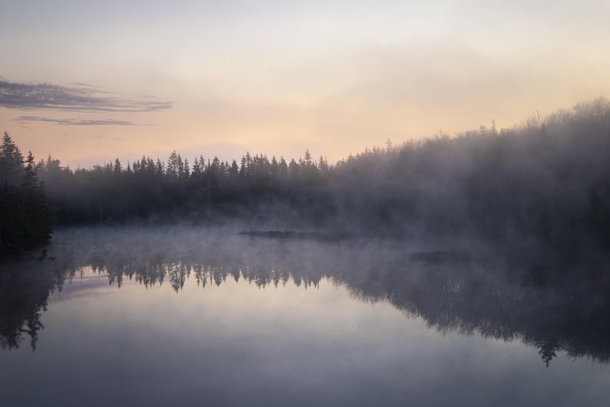 Todays Misty Morning - Hubley Nova Scotia 