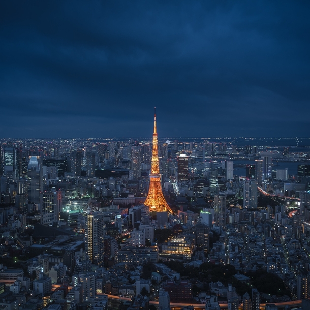 Tokyo at night  Photo by Conor MacNeill 