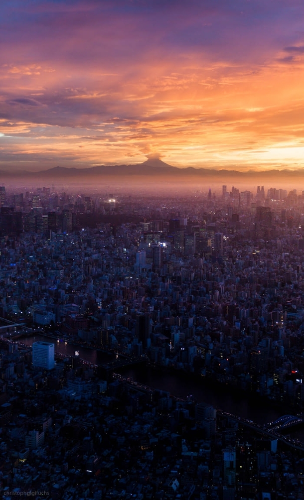Tokyo City at Sunset 