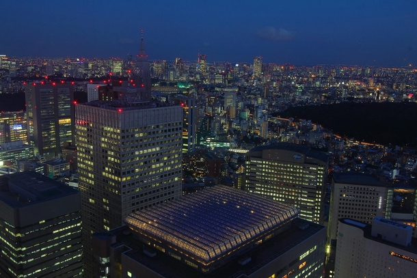 Tokyo Japan from the Metropolitan Government Building