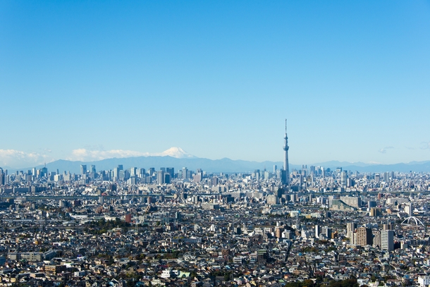 Tokyo Skytree and Mt Fuji 
