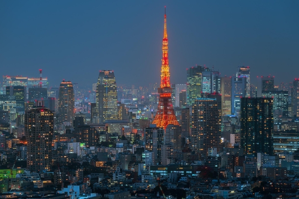 Tokyo Tower during blue hour 