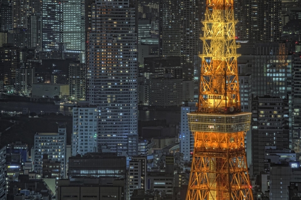 Tokyo Tower Nightscape 