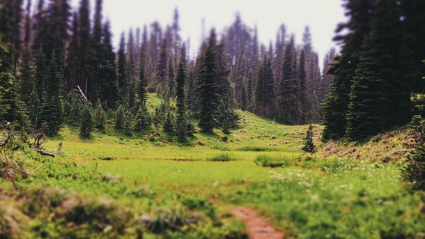 Tolmie Peak Fire Lookout Trail Mt Rainier National Park  robertnphotos