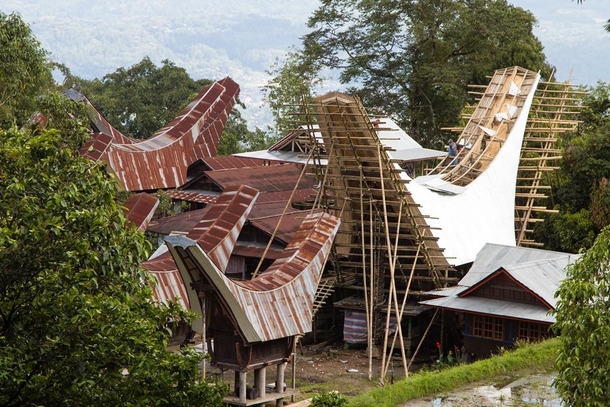 Tongkonan houses of Tana Toraja in Sulawesi Indonesia Although still keeping the basic design most new constructions have abandoned using the intricate bamboo roofs and replaced them with zinc sheets