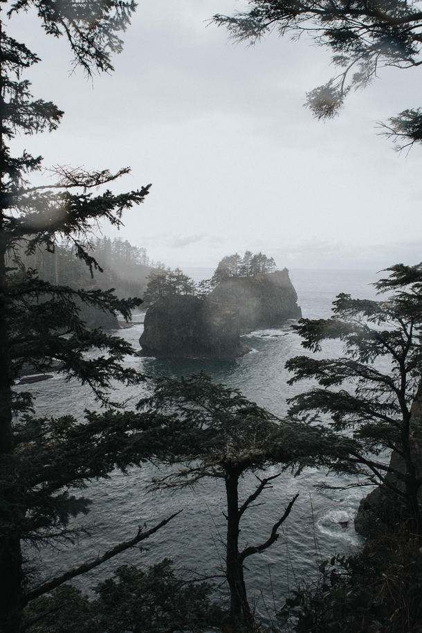 Took a  hour drive to reach the most top left point of the United States Cape Flattery WA 