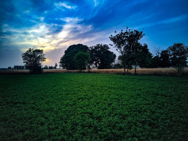 Took an evening shot in Punjab India   x 