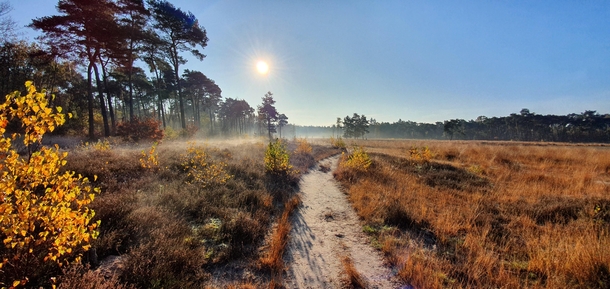 Took this on a cold foggy sundaymorning stroll in the Netherlands absolutley stunning view  x  