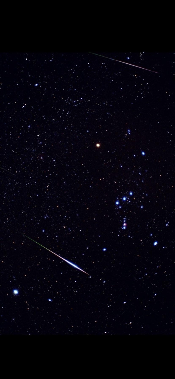 Took this single shot on film  yrs ago Perseids through Orion