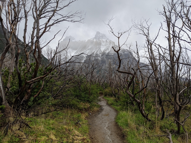 Torres del Paine National Park 