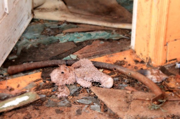 Toy Bunny Found in Abandoned House in Nova Scotia 