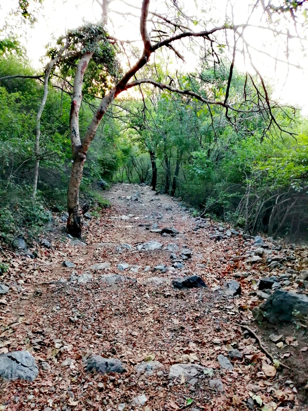 Trail  sector g Islamabad Pakistan  oc