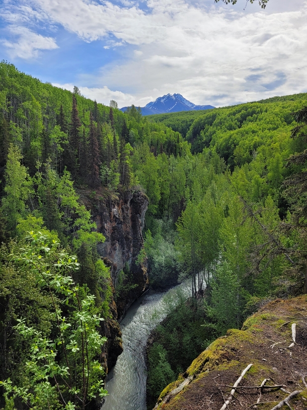 Trail to Thunder Bird Falls Alaska