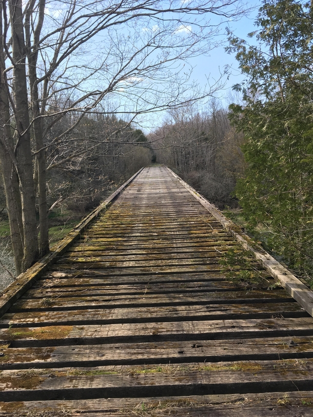 Train bridge in the middle of the woods built in the s