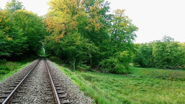 Train tracks in the forest Gribskov Denmark OC