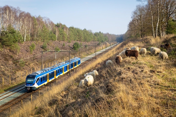 Train tracks through Asselsche Heide Netherlands 