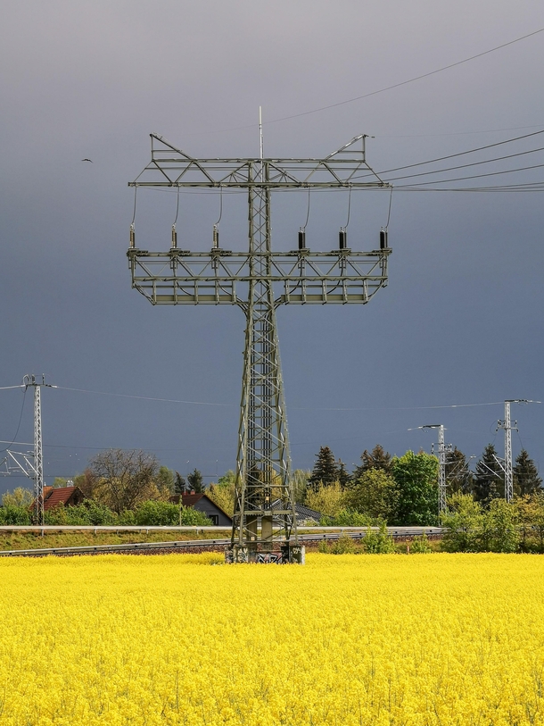 Transmission tower in the canola field Germany