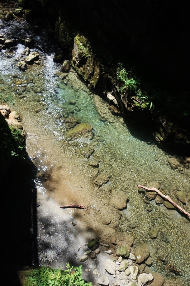 Transparent canyon river during todays hike Basque Country France 