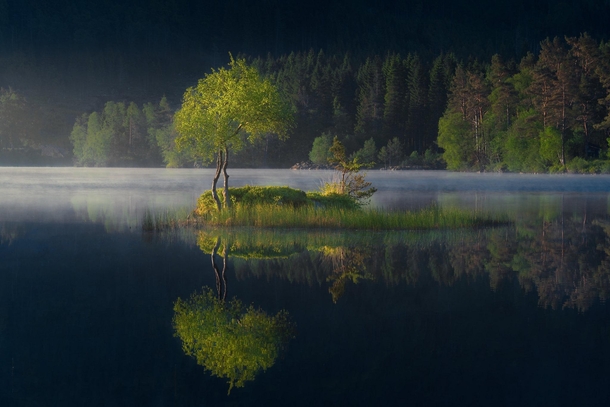Tree island catching first light in Vgseidet Norway 