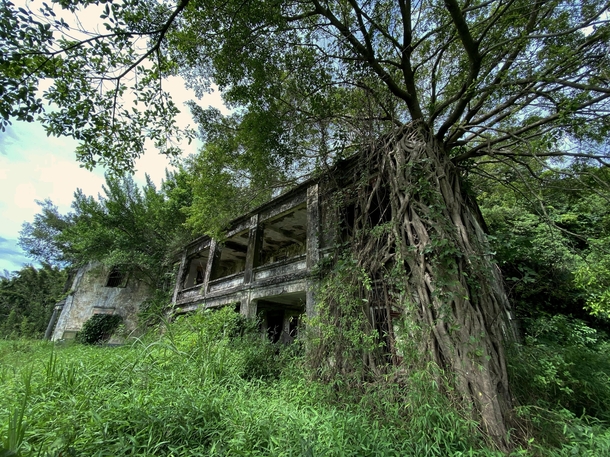 Tree on an abandoned house which built in  Taken in Hong Kong