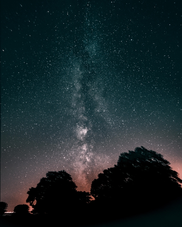 Trees Under The Milky Way 