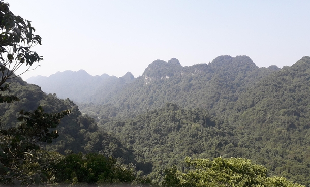 Treetop view of cuc phuong national park Vietnam 