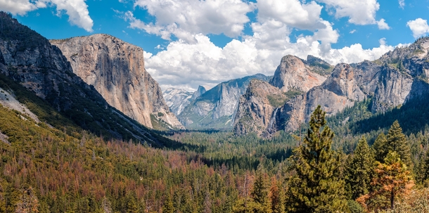 Trip to USA - Yosemite National Park CA 