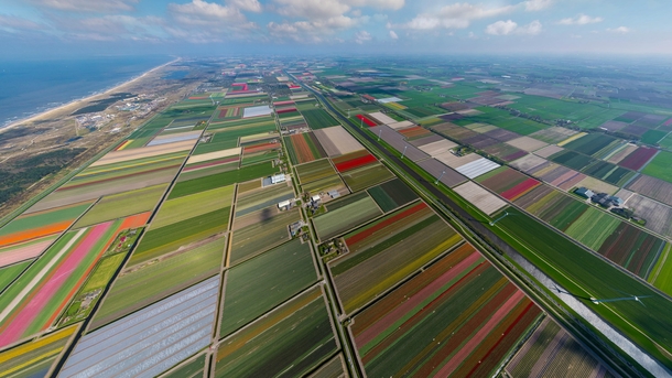Экономическое развитие нидерландов. Нидерланды сельхоз земли. Голландия сельское хозяйство. Нидерланды промышленность. Хозяйство Нидерландов.