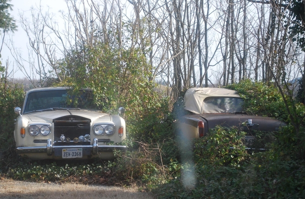Two abandoned Rolls Royces sitting Behind a house in Callaway Virginia USA
