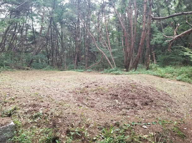 Two lost and forgotten burial mounds in the countryside of South Korea