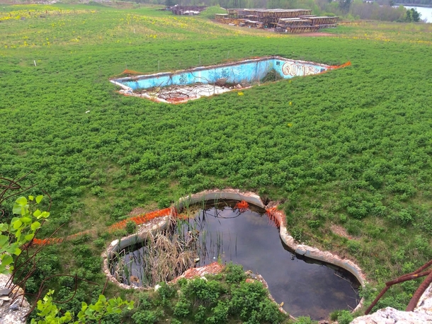 Two outdoor pools at an abandoned resort being reclaimed by nature