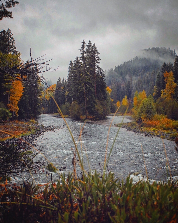 Two rivers converge as Summer meets Autumn deep in Washington State  GarrettBaespflug
