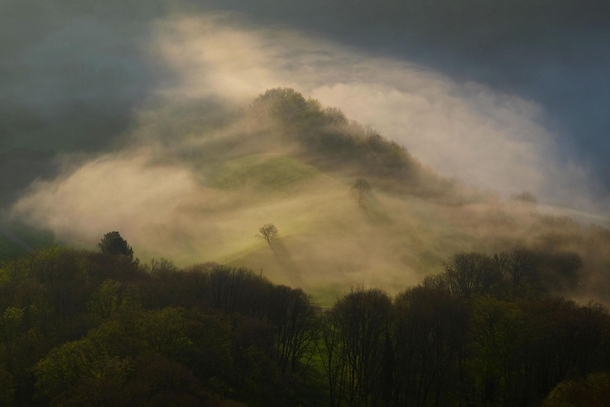 Two trees on a hill during a misty sunrise Jura Mountains Switzerland OC x