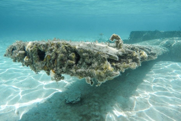Underwater Staniel Clay Plane a Wreck  Exumas Bahamas