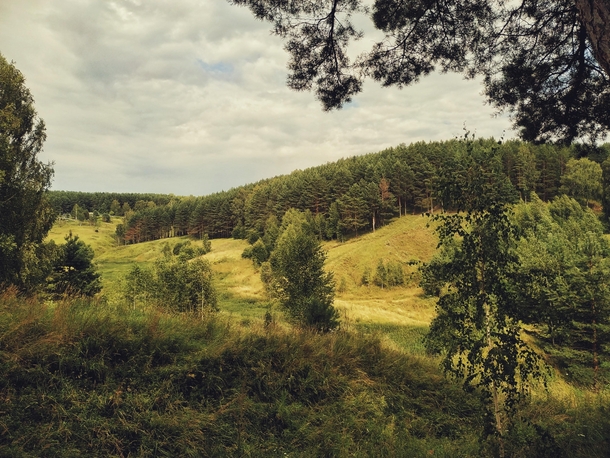 Unknown forest Nizhny Novgorod region Russia 