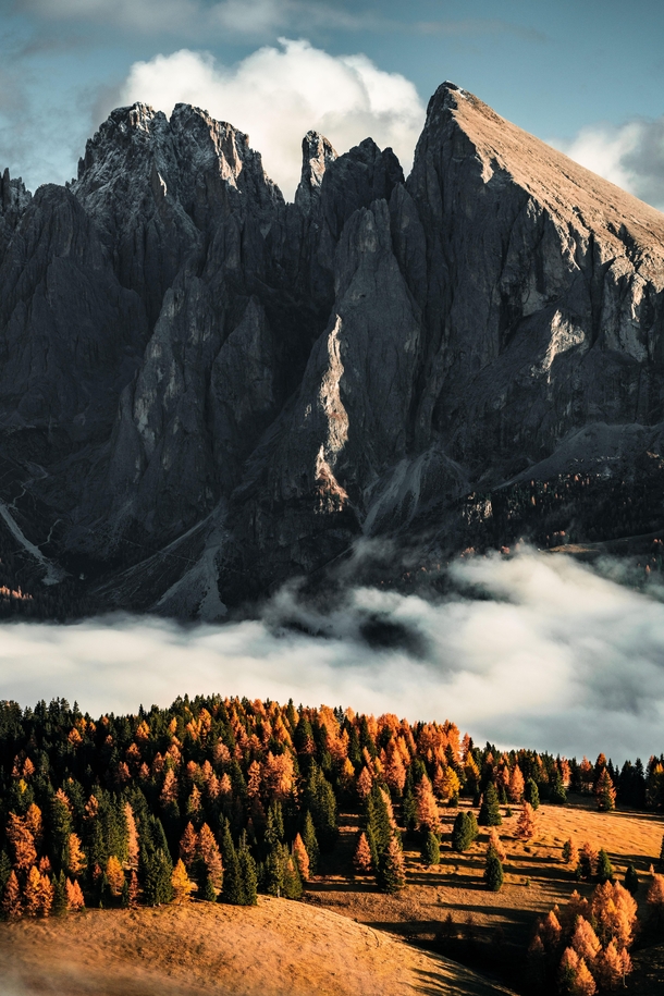 Up high on mountain plateaus Dolomites Italy  wilhelmgisow on Instagram
