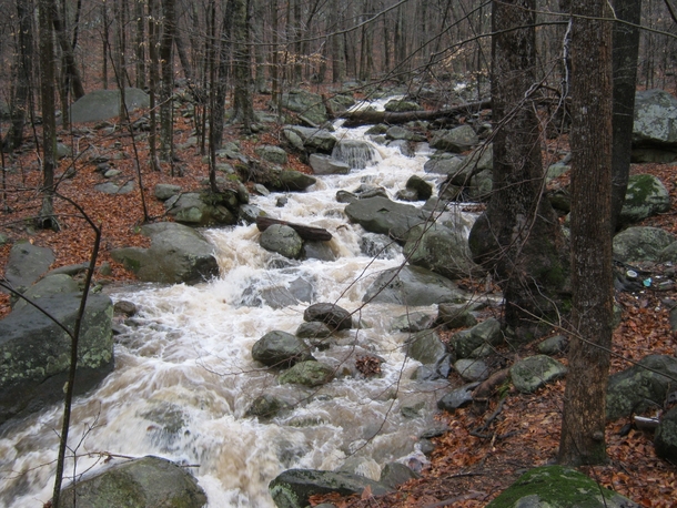 Usually just a sleepy creek in Central Virginia this is what  days of rain turns it into eye candy 