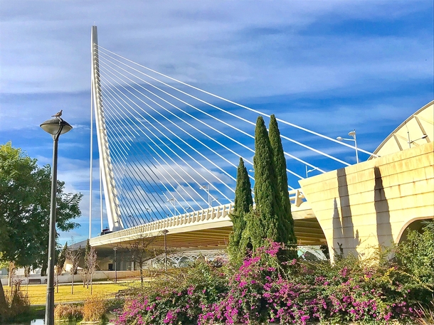 Valencia Spain Bridge of the City of Arts and Sciences More a sculpture than architecture
