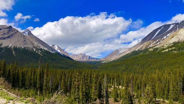 Valley - Jasper National Park Canada 