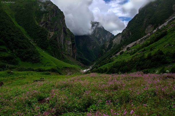 Valley of Flowers National Park in Garhwal Himalayas India  By Rohit 