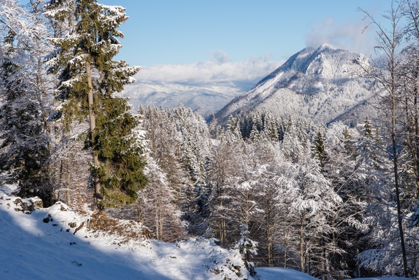 Velika Planina Slovenia Winter scenery  photo by aleksandar_hajdukovic
