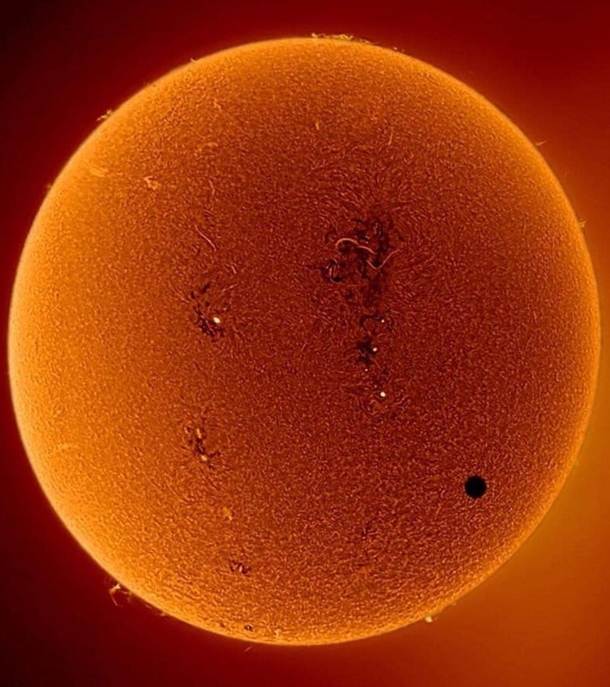Venus photobombs the Sun Meanwhile you can see sunspots flares and prominences all over the surface of the sun 