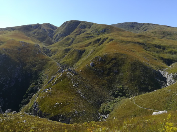 Verdant hills of Hermanus South Africa 