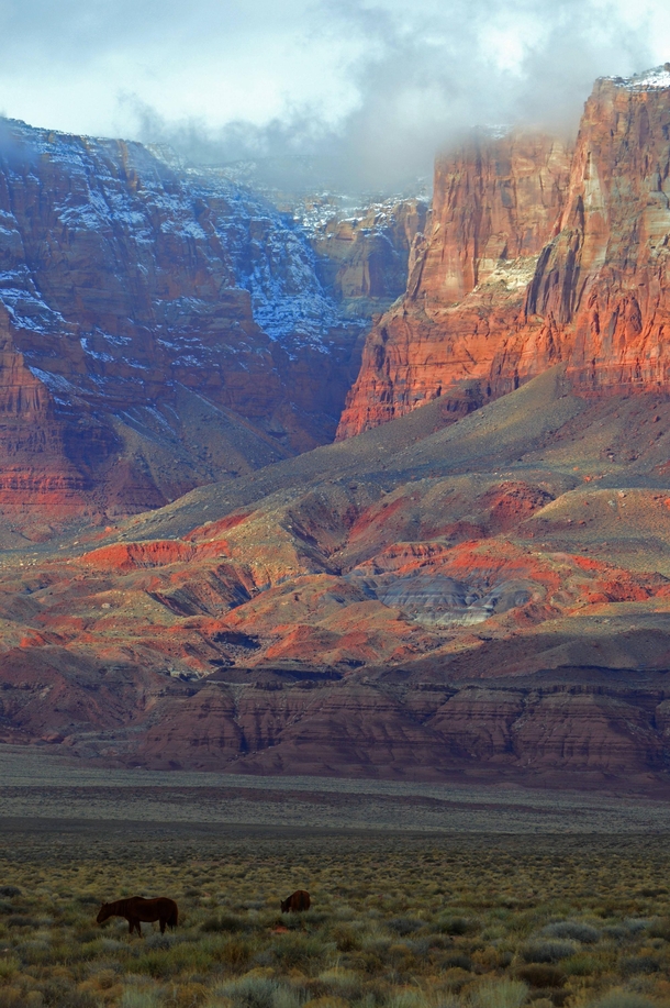 Vermillion Cliffs National Monument Arizona 