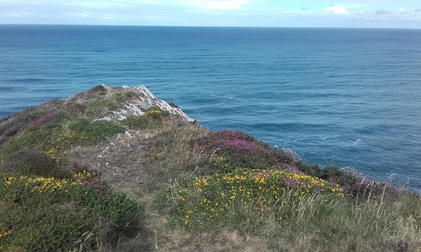 Very edge of a cliff overlooking the sea Near Crackington Haven 